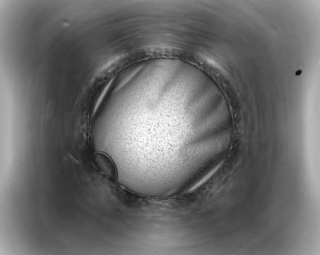 X0000086930870200704301115