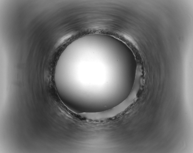 X0000086930872200704301115