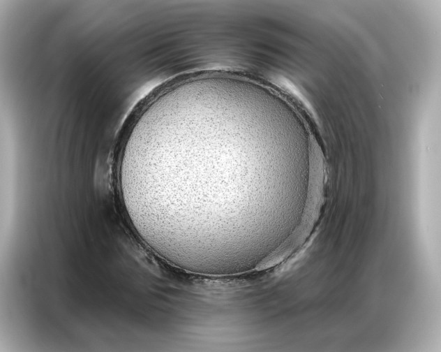 X0000086930875200704301115