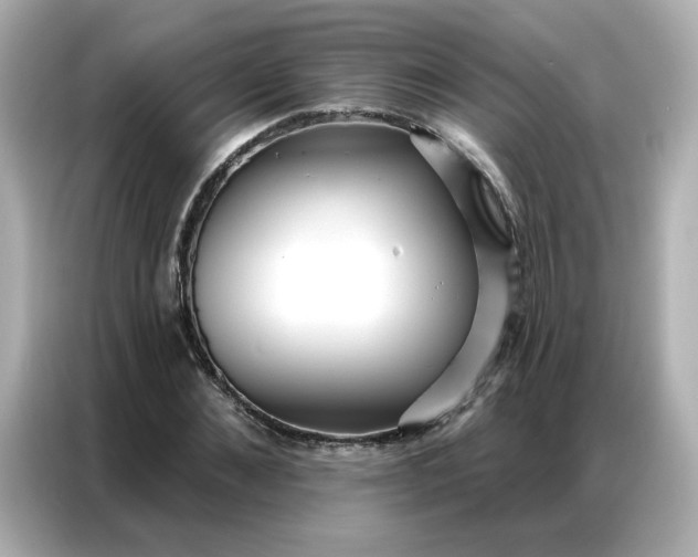 X0000086930876200704301115