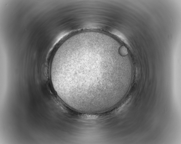 X0000086930878200704301115