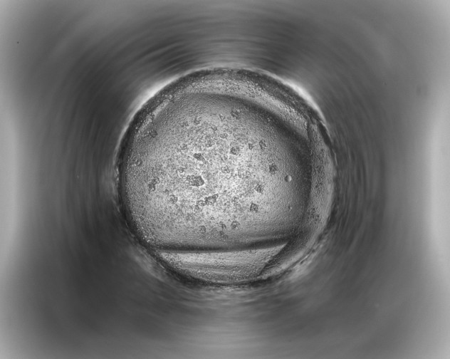 X0000086930879200704301115