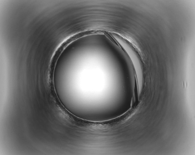 X0000086930880200704301115