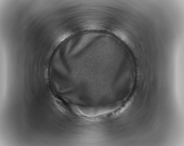 X0000086930881200704301115