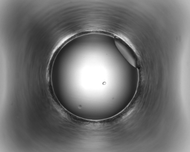 X0000086930885200704301115