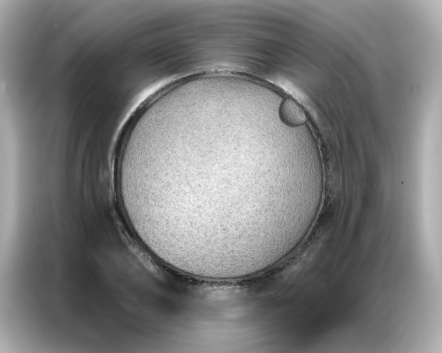 X0000086930886200704301115