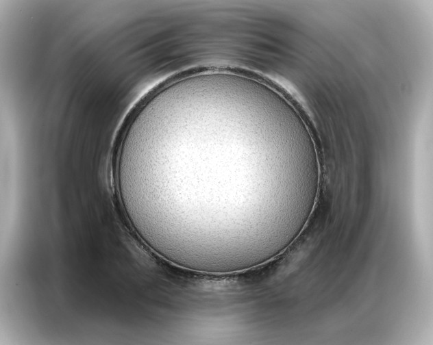 X0000086930887200704301115