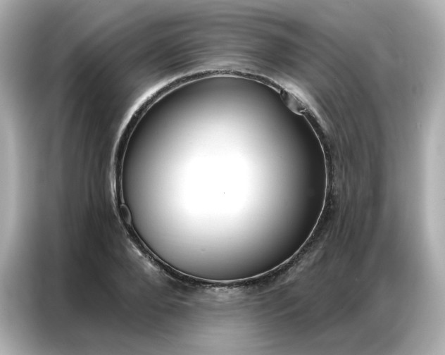 X0000086930888200704301115