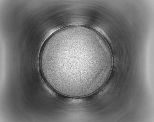 X0000086930890200704301115