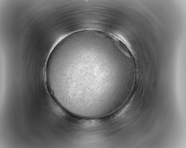 X0000086930891200704301115