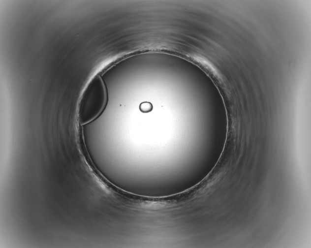 X0000086930894200704301115