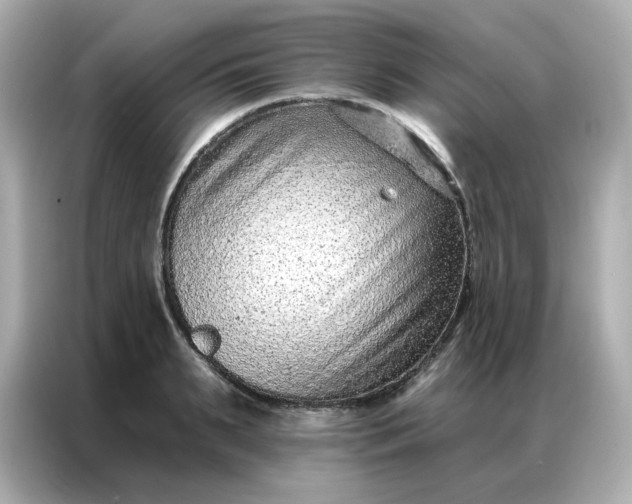 X0000086930895200704301115