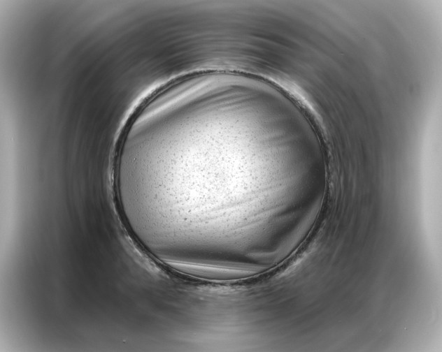 X0000086930896200704301115