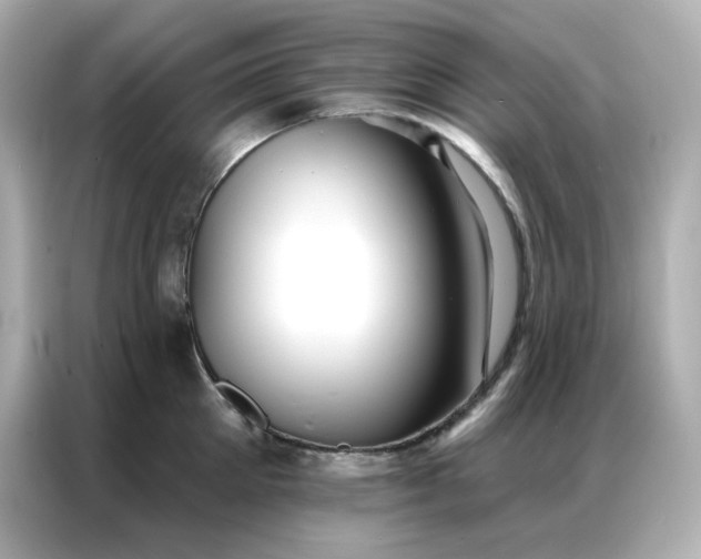 X0000086930905200704301114