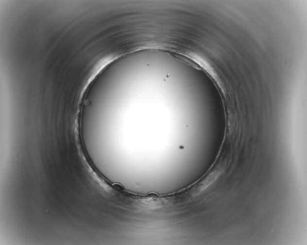 X0000086930906200704301114