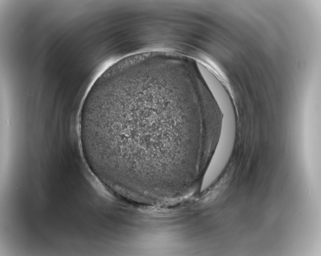 X0000086930907200704301114