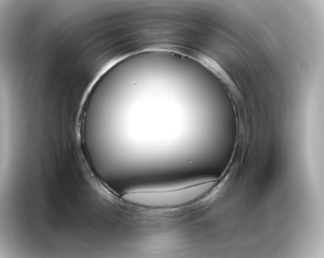 X0000086930908200704301114