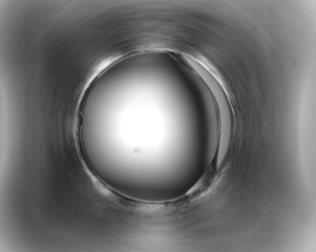 X0000086930909200704301114