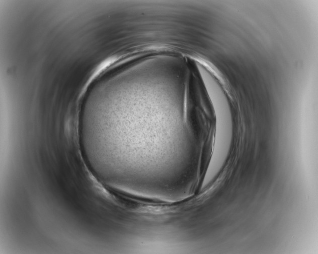 X0000086930910200704301114