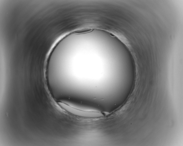 X0000086930912200704301114