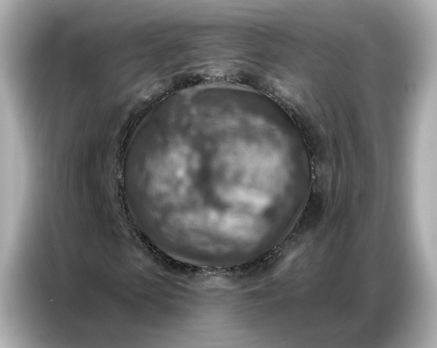 X0000086930913200704301114