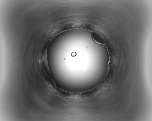 X0000086930914200704301114