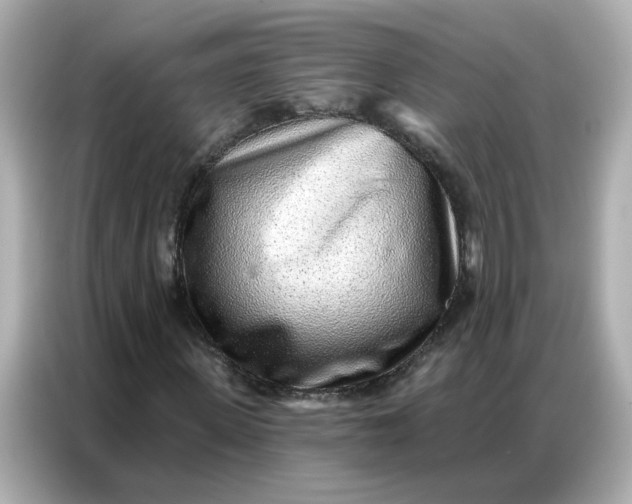 X0000086930915200704301114