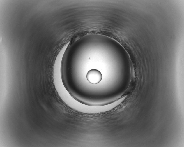 X0000086930916200704301114