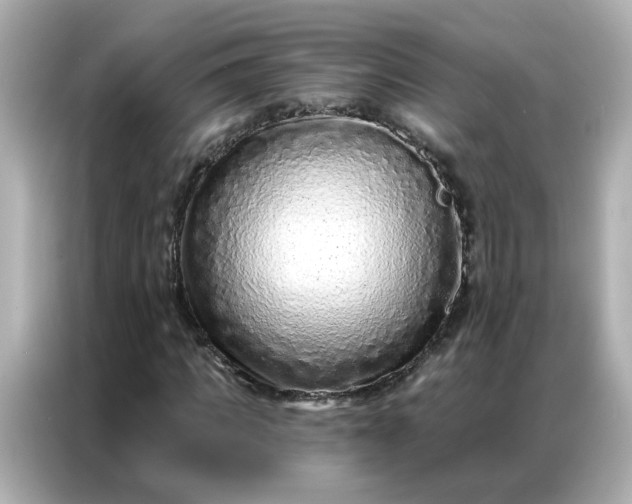 X0000086930917200704301114