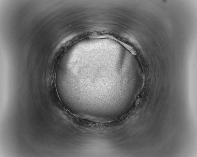 X0000086930920200704301114