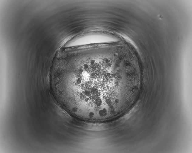 X0000086930921200704301114