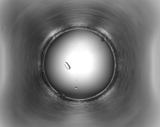 X0000086930922200704301114