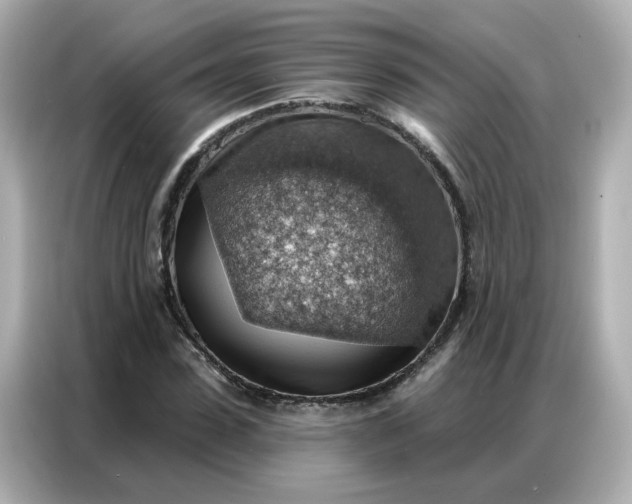 X0000086930923200704301114