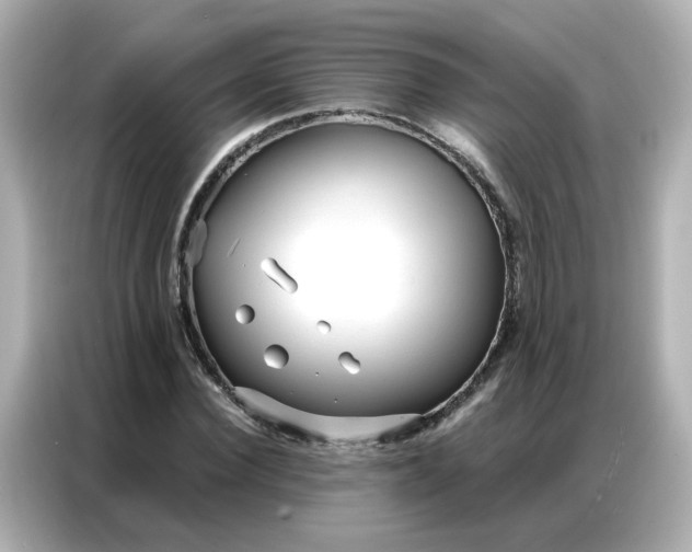 X0000086930924200704301114