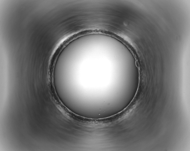 X0000086930927200704301114