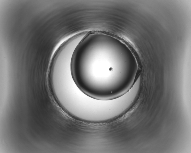 X0000086930928200704301114