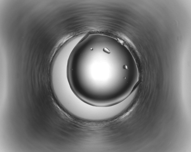 X0000086930930200704301114