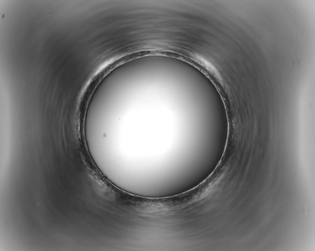 X0000086930931200704301114