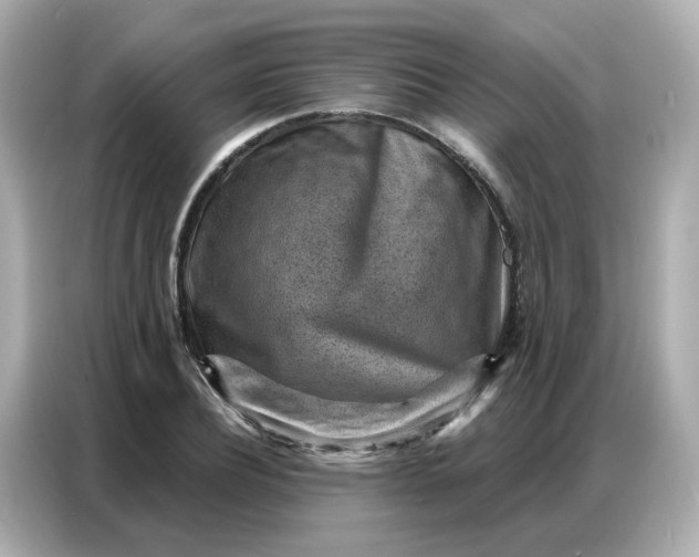 X0000086930932200704301114