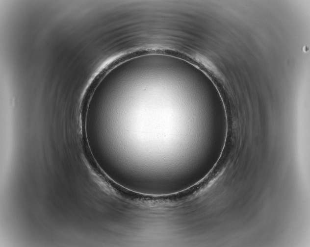 X0000086930934200704301114