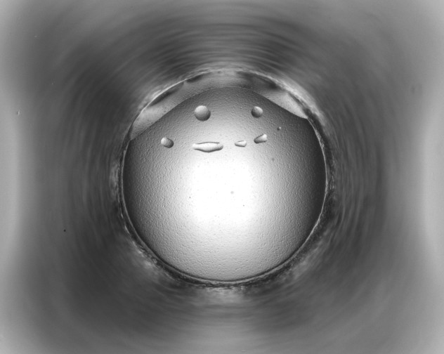 X0000086930937200704301114