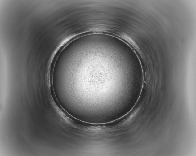 X0000086930939200704301114