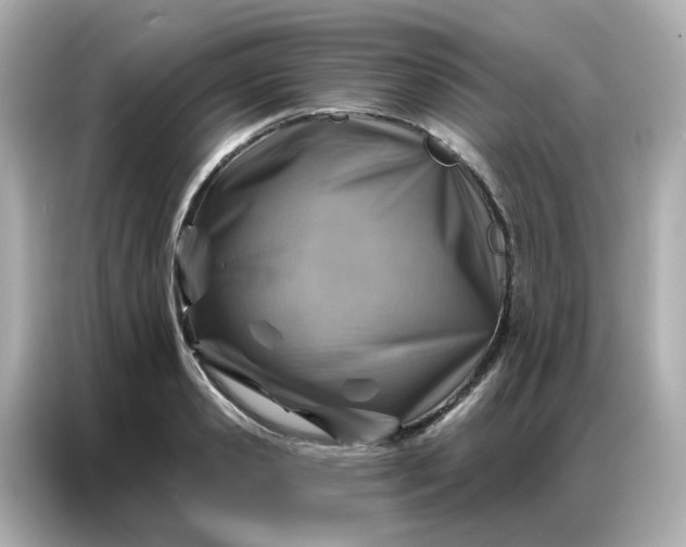 X0000086930941200704301114