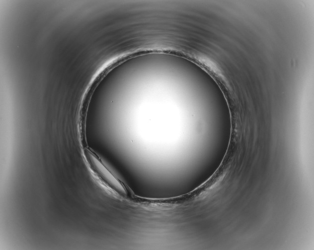 X0000086930942200704301114