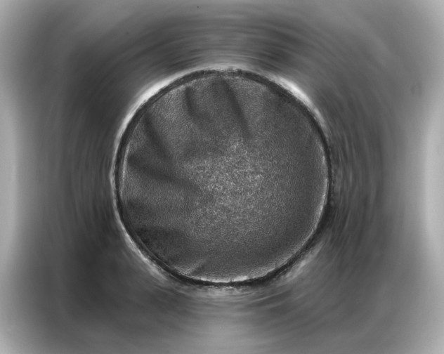 X0000086930943200704301114