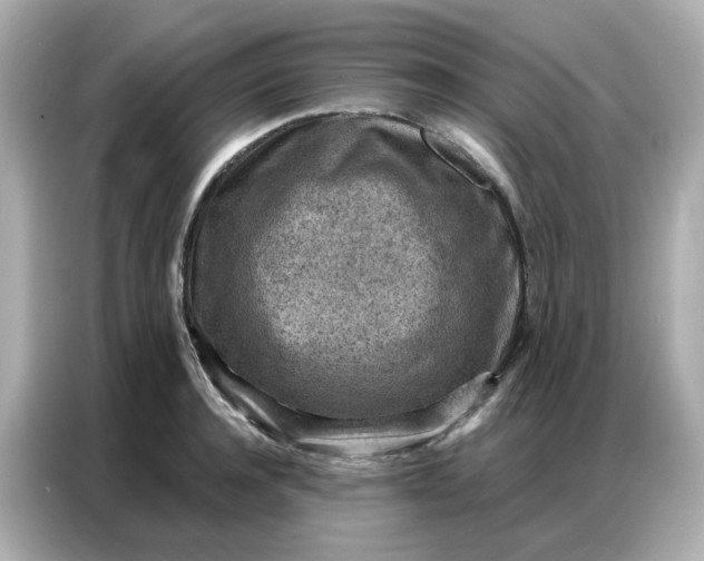 X0000086930944200704301114