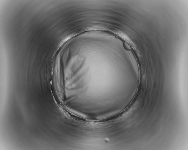 X0000086930945200704301114