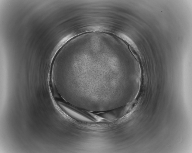 X0000086930946200704301114