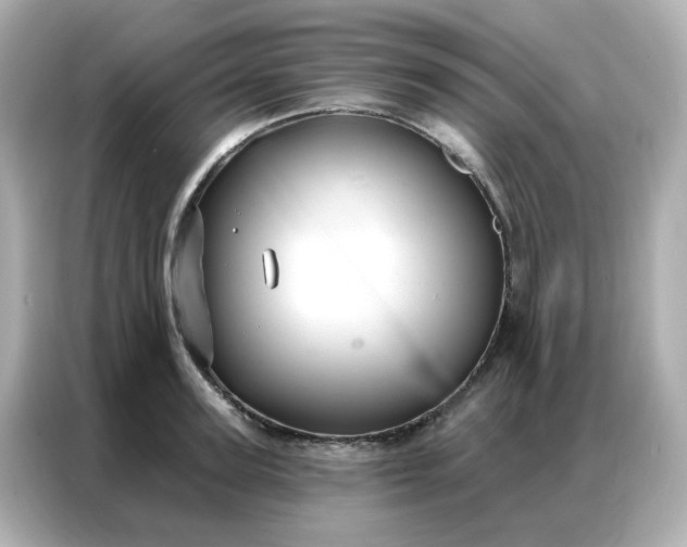 X0000086930947200704301114