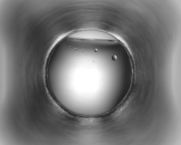 X0000086930949200704301114